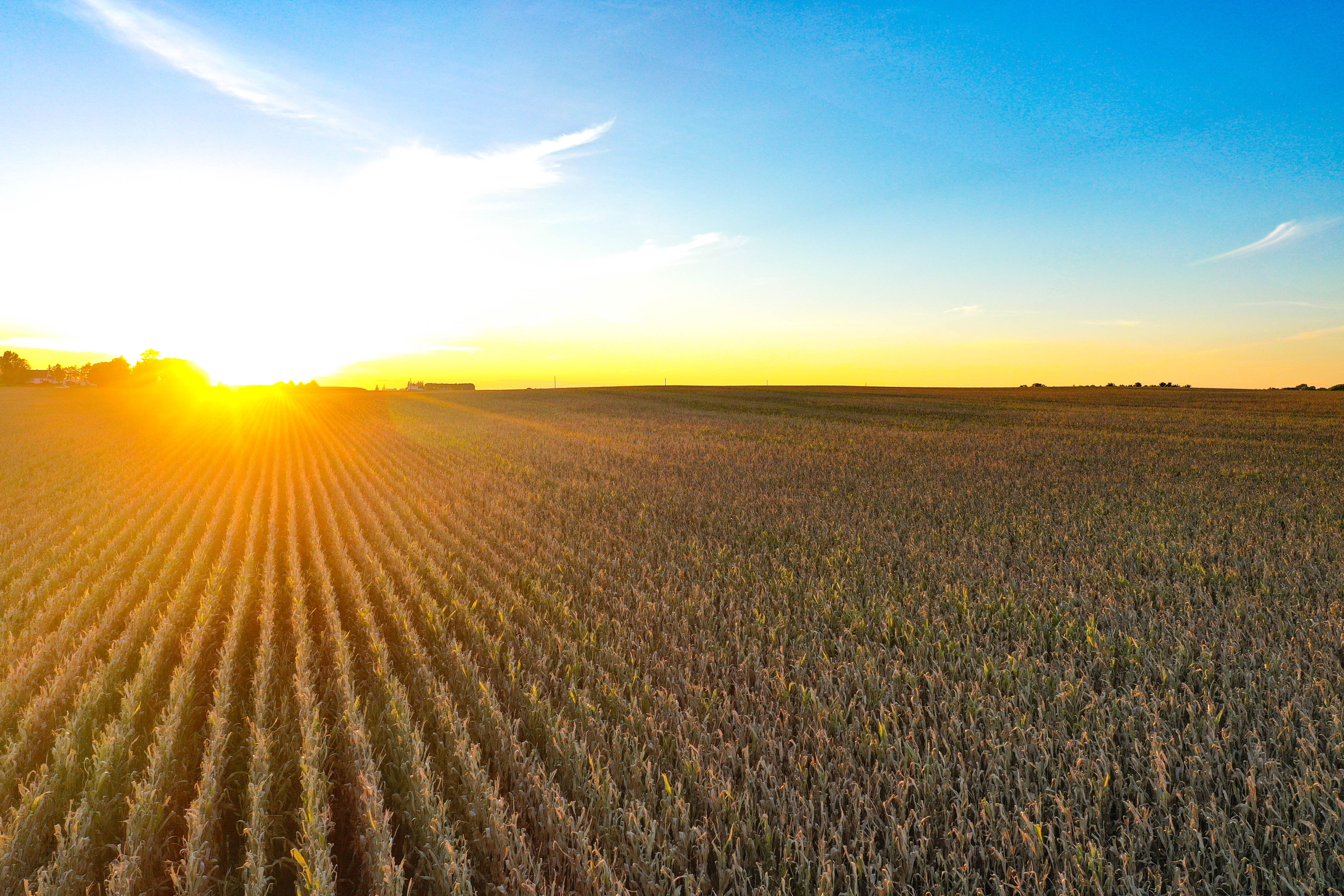 Listing Photo: 26-Butler County IA Land For Sale